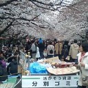 未だ早いだろうに