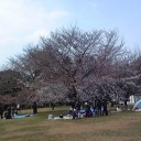 たいみんぐ
