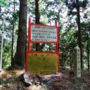 椿山林道