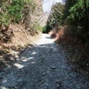 椿山林道