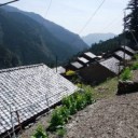 里山の春