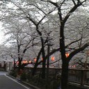 あるある