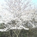 連休♪