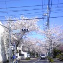 日が長くなりました