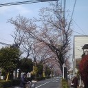 日が長くなりました