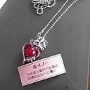 ついに買えたぜ