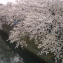 4月5日の日記