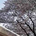 いつか題材にして書こうかなぁ