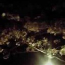 夜桜