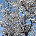 4月7日の日記