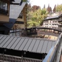 穴湯大杉
