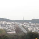 宝塚『花乃みち』の桜