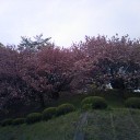 おはようございます