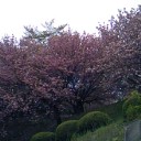 おはようございます