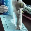 立った……！