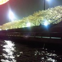 春まっさかりデスまっさかり【4月26日(日)】