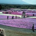 飛び石