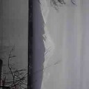 名探偵コタ……コナン、二枚ですね
