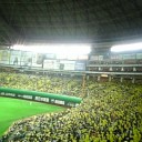 福岡ヤフードームでホークスＶＳロッテ戦♪