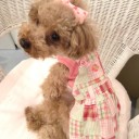 月と走りながら