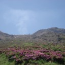 仙酔峡