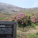 仙酔峡