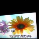 揺れる  体温