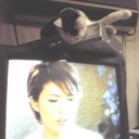 あの悪魔は、今ごろどうしているのだろう。海の底で。