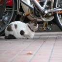 日曜〓エスコンとオラタンと〓