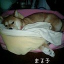 おはぁ？