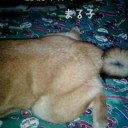 おはぁ？