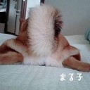 朝寝坊～