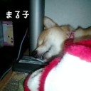 雨続き