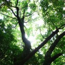月曜〓写真とバイトと〓