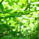 月曜〓写真とバイトと〓
