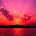 夏がくる