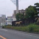 小雨の中