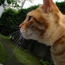 土曜〓電車と買い物と〓
