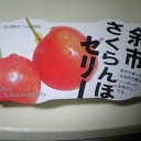 京都マジメ計画。