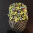 Ｙ邸 ホール 杮落し　Ｕサロンの花との饗宴