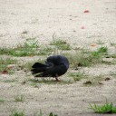 月曜〓バイトと濡れ鼠と〓