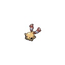 この夏手に入るポケカのプロモなのだが…