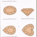 LIVE DIAMOND 2009 プレビュー：アオイホノウ