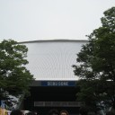 FIELD OF DREAM