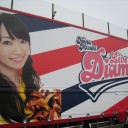 FIELD OF DREAM