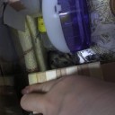 ちゅうこ　近況報告。