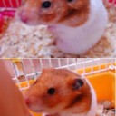 ちゅうこ　近況報告。