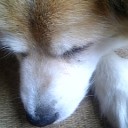 簡単パーマネント。
