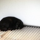 水曜〓日食と雨と〓