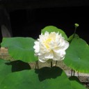またまた　朋有・・・・